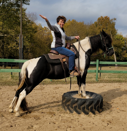 HorseID: 2312340 Maggie - PhotoID: 1097402