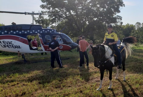 HorseID: 2312340 Maggie - PhotoID: 1097403