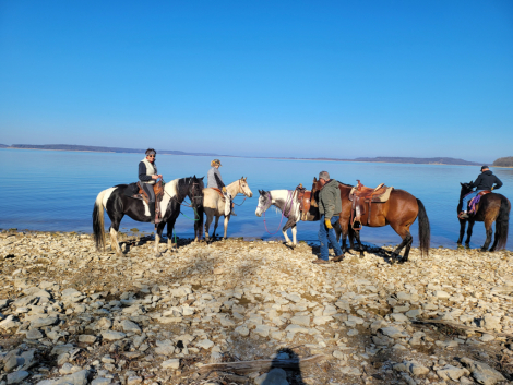 HorseID: 2312340 Maggie - PhotoID: 1097405