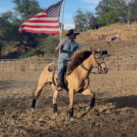 HorseID: 2312342 Dazzle’s Sonic Love - PhotoID: 1097410