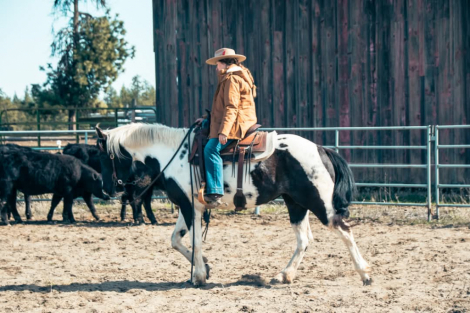 HorseID: 2312361 (Name Penning) - PhotoID: 1097785