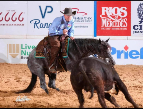 HorseID: 2312361 (Name Penning) - PhotoID: 1097786