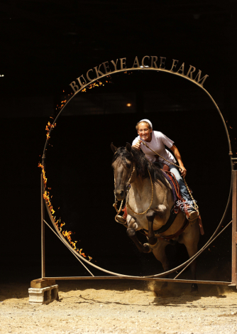 HorseID: 2312363 San Dee Show Time - PhotoID: 1097449