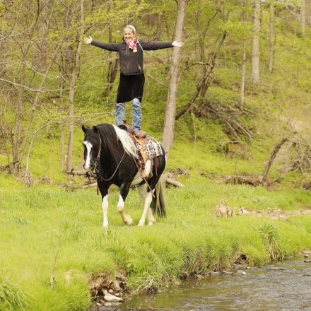 HorseID: 2312364 Buckeyes Shamu - PhotoID: 1097443