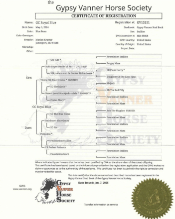HorseID: 2312374 GC Royal Blue - PhotoID: 1097465