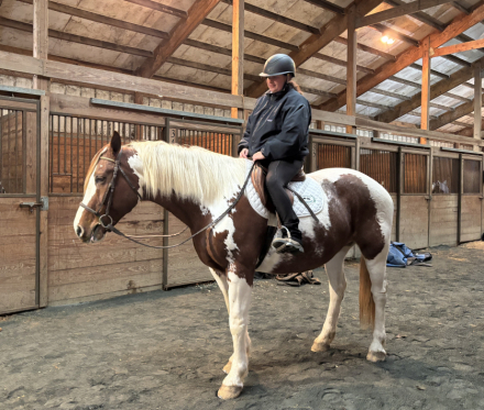 HorseID: 2312377 Mamma Mae - PhotoID: 1097469