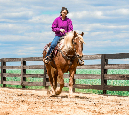 HorseID: 2312413 Pudge - PhotoID: 1097512