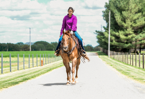 HorseID: 2312415 No limits By Guthrie - PhotoID: 1097517