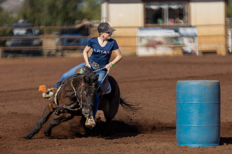 HorseID: 2312423 Bumblebee - PhotoID: 1097545