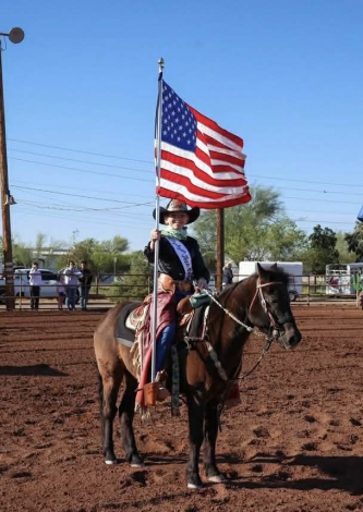 HorseID: 2312423 Bumblebee - PhotoID: 1097546