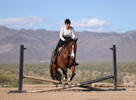 HorseID: 2312504 CEE MEDREAM - PhotoID: 1097644