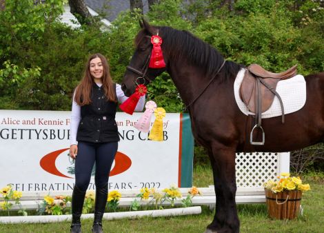 HorseID: 2312550 Bruno - PhotoID: 1097694