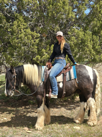 HorseID: 2312551 The Sweet Prince - PhotoID: 1097701