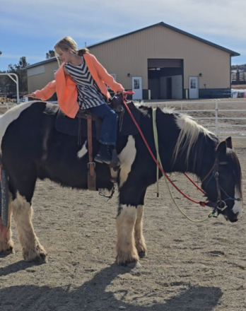 HorseID: 2312551 The Sweet Prince - PhotoID: 1097702