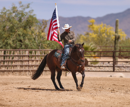 HorseID: 2312554 JUSTMECOMDOC - PhotoID: 1097708