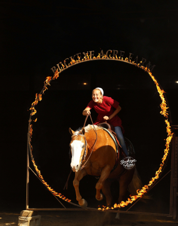 HorseID: 2312560 Pale Lil Pepper - PhotoID: 1097719