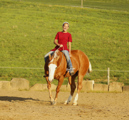 HorseID: 2312560 Pale Lil Pepper - PhotoID: 1097723