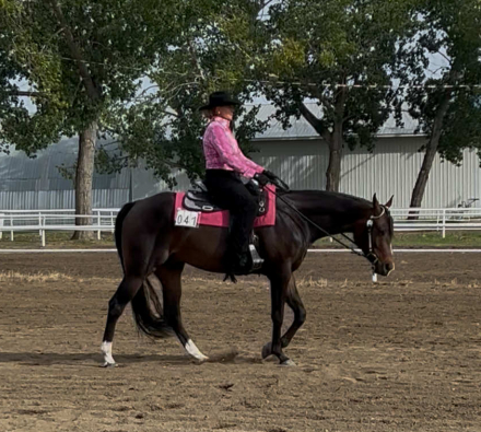 HorseID: 2312574 Idolize My Diamonds - PhotoID: 1097735