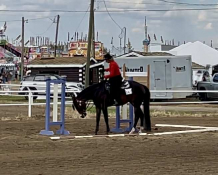 HorseID: 2312574 Idolize My Diamonds - PhotoID: 1097737