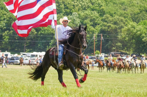HorseID: 2312592 King - PhotoID: 1097814