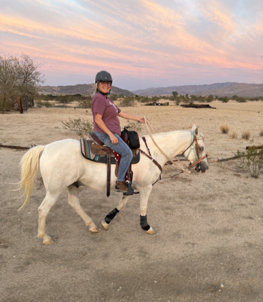 HorseID: 2312643 True Blue - PhotoID: 1097799