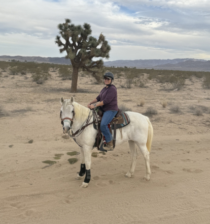 HorseID: 2312643 True Blue - PhotoID: 1097802