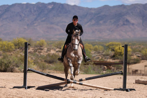 HorseID: 2312677 IM WIZARD - PhotoID: 1097852