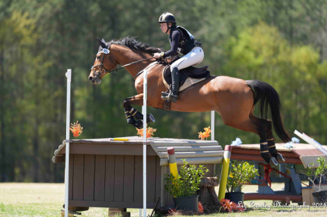 HorseID: 2312718 Primitive Promise - PhotoID: 1097896