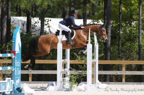 HorseID: 2312718 Primitive Promise - PhotoID: 1097897