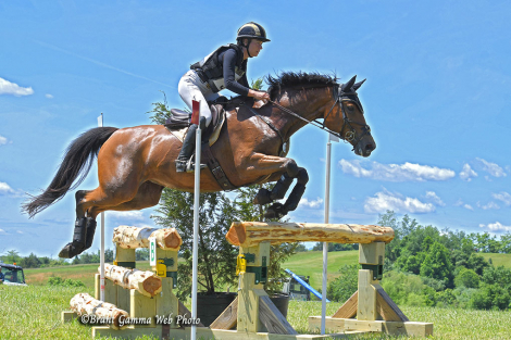 HorseID: 2312718 Primitive Promise - PhotoID: 1097898