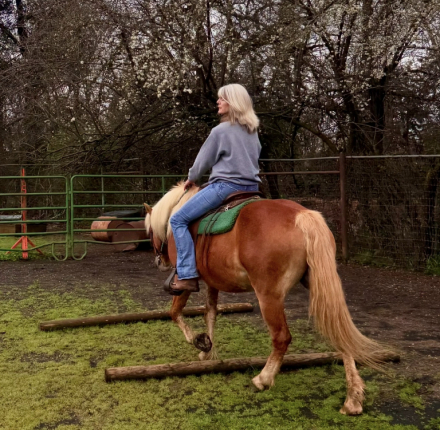 HorseID: 2312743 Nutella LDK - PhotoID: 1097952