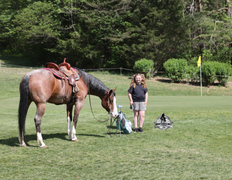 HorseID: 2312748 Ty Playing Red Sox- 2 Guarantee - PhotoID: 1098028