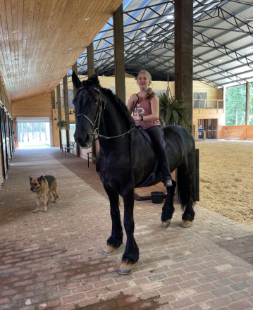 HorseID: 2312761 Baint - PhotoID: 1097959