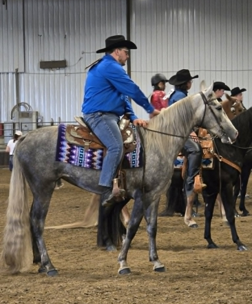 HorseID: 2312769 Dixie By Aspen - PhotoID: 1097979