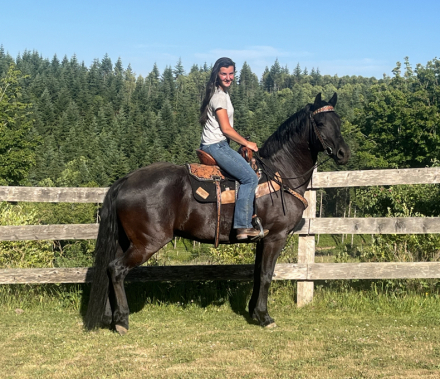 HorseID: 2312793 Reina - PhotoID: 1098037
