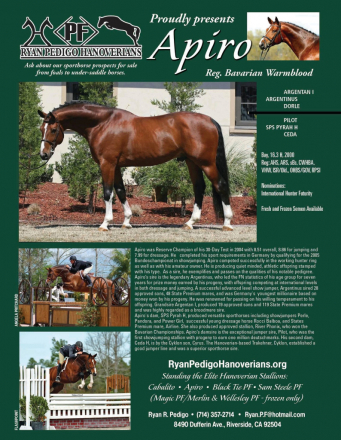 HorseID: 2312816 Ace It - PhotoID: 1098055