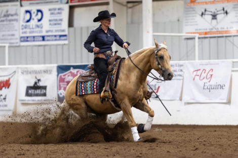 HorseID: 2312834 TR NACHO BUSINESS - PhotoID: 1098083