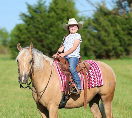 HorseID: 2312834 TR NACHO BUSINESS - PhotoID: 1098084