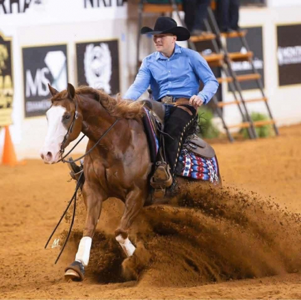 HorseID: 2312835 INFERNOMISCHIEF - PhotoID: 1098089