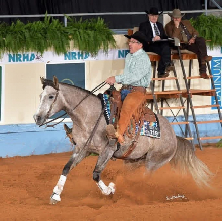 HorseID: 2312837 SEND RIP - PhotoID: 1098097