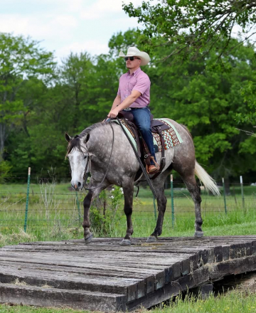 HorseID: 2312837 SEND RIP - PhotoID: 1098098