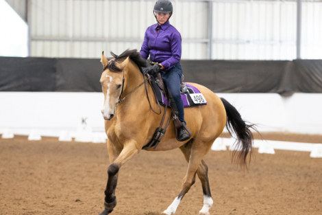 HorseID: 2312862 Waterfords Luxor - PhotoID: 1098142