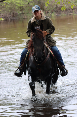 HorseID: 2312902 Deltas Pride - PhotoID: 1098176