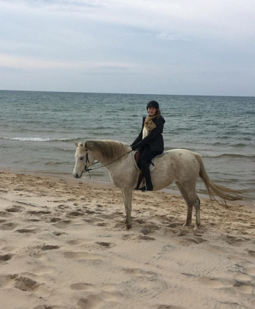 HorseID: 2312905 Asadda - PhotoID: 1098181