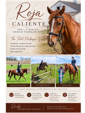 HorseID: 2312954 Rojo Caliente - PhotoID: 1098243