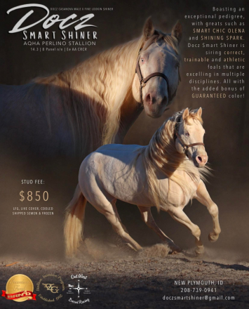HorseID: 2313017 Lil Smokin Sizzle Cat - PhotoID: 1098314