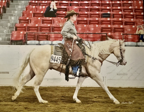 HorseID: 2313026 BH A Boy Named Sue - PhotoID: 1098334