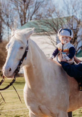 HorseID: 2313026 BH A Boy Named Sue - PhotoID: 1098335