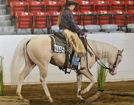 HorseID: 2313026 BH A Boy Named Sue - PhotoID: 1098336