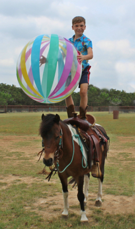 HorseID: 2313033 Patch - PhotoID: 1098320